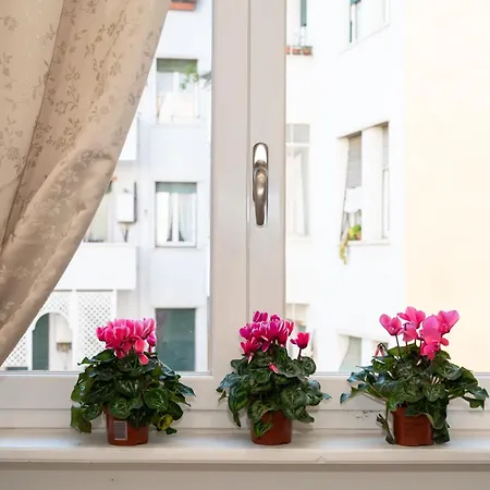 Apartment St. Peter Boutique *