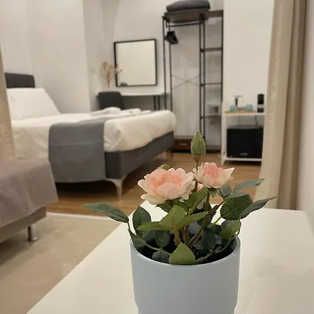 Guest house The 115 Rome