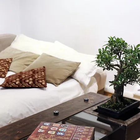 Domus Borgo Pio - San Pietro Apartment *