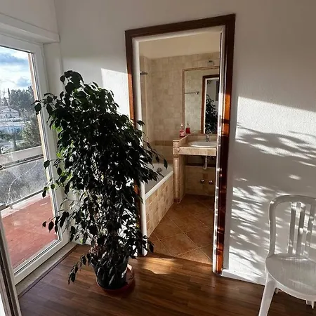 The Swan Center Apartment Rome