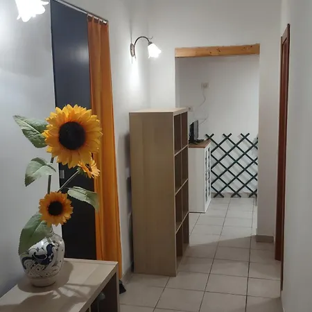 Apartment Saint Peter *