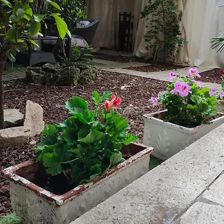 Garden Casa Kangen Holiday home Rome