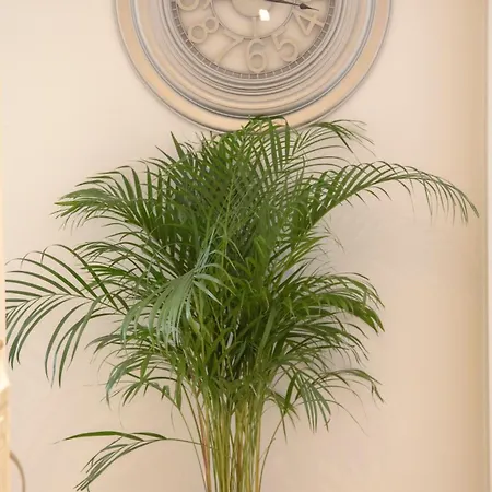 San Pietro Luxury Relais Bed & Breakfast Rome