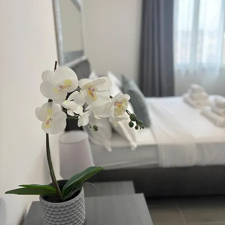 Apartamento Travel House Roma
