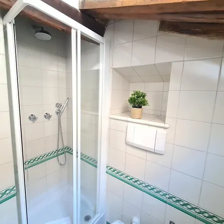 Boutique Domus Spagna Ripetta Daire
