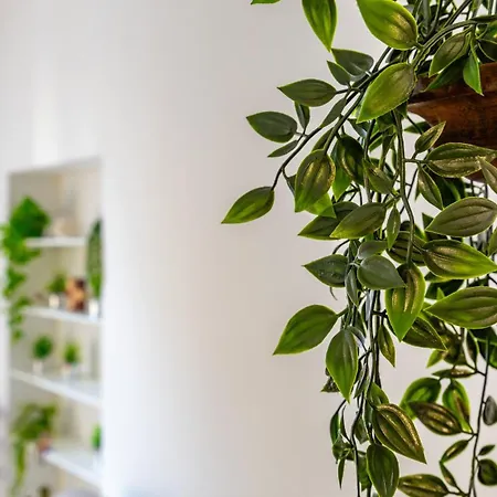 Casa Maria Teresa By Rentbeat Roma