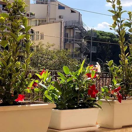 Wonderful Little Gem With A Large Private Terrace! Apartment