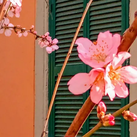 Holiday home Antico Gelso