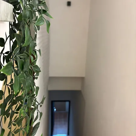 Apartment Ilia12 *