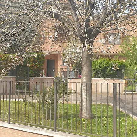 Domus Pensjonat *