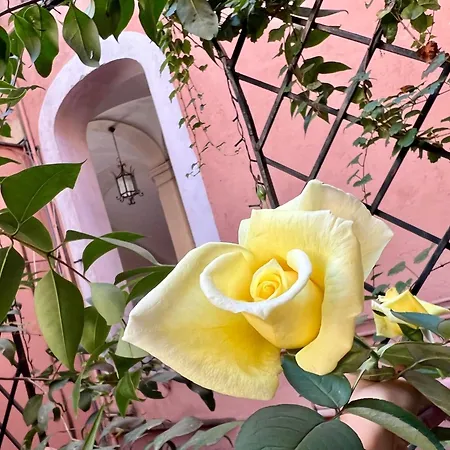 Apartment In Rome-trastevere - Amorhome Rome