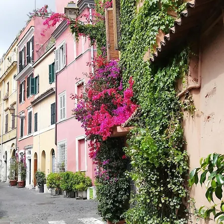 In Rome-trastevere - Amorhome Apartment