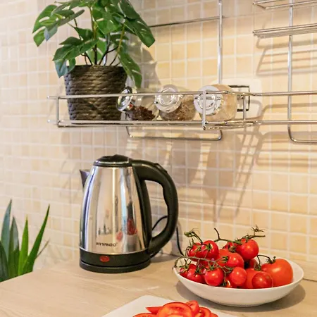 Apartment Dafne Wonderful With Terrace