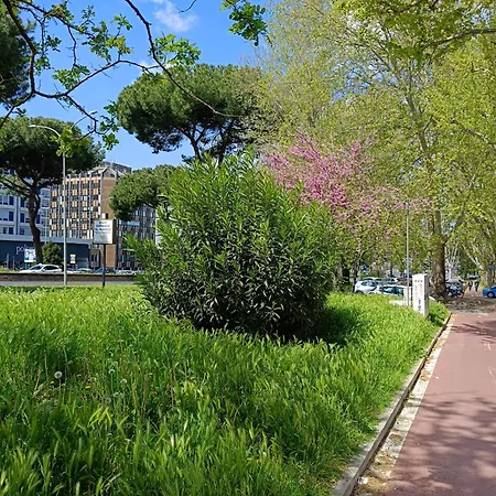 Ancient Colosseum Modern And Bright Apartment Rome