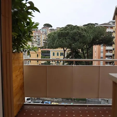 The Romex * Roma