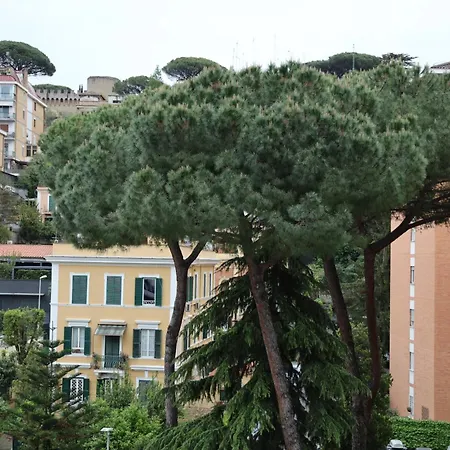 Affittacamere The Romex