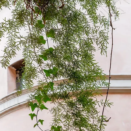 Apartment Trevi Fountain Stylish Rome