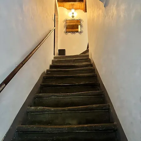 Navona Fox House Apartamento Roma