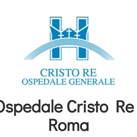 Gemelli San Pietro Colosseum Apartment Rome