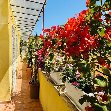 Otranto 36 Roma