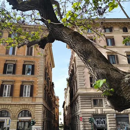 Vatican Near Sweet Terrace Apartament Rzym