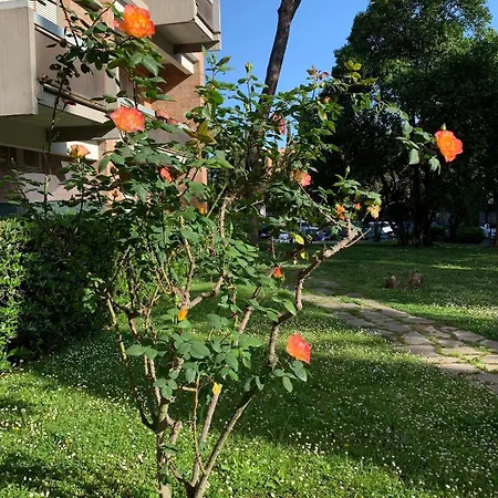 Appartamento Sunshine