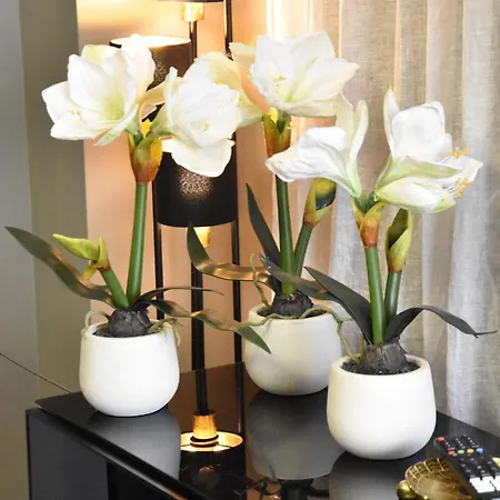 Diasof Apartment Rome