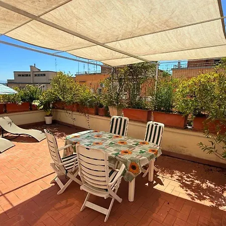 Dama Roof House *
