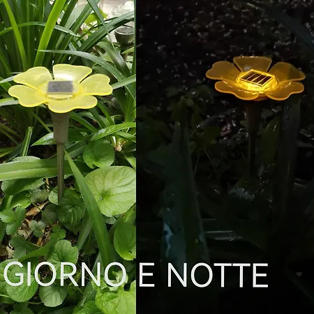 Il Giardino Di Frida *