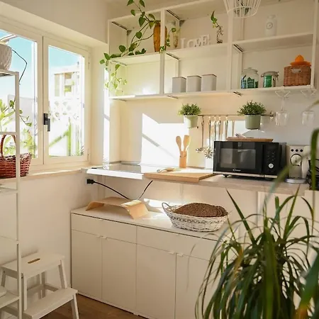 Apartment White Lotus Rome