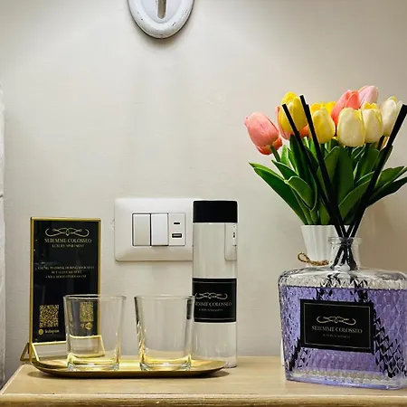 Apartment Seiemme Colosseo Luxury 2 Rome