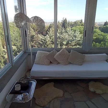 Apartment Housegardenfleming