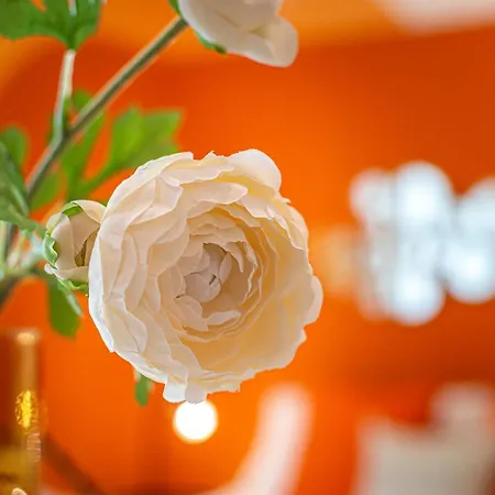 Apartment Aperol Spritz Rome
