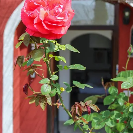 Guest house La Torre Rossa Rome