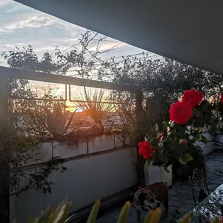 Housegardenfleming Apartment