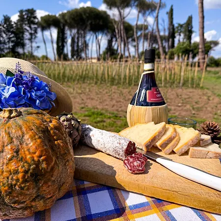 Due Leoni - Casa Per Turismo Cattolico ローマ