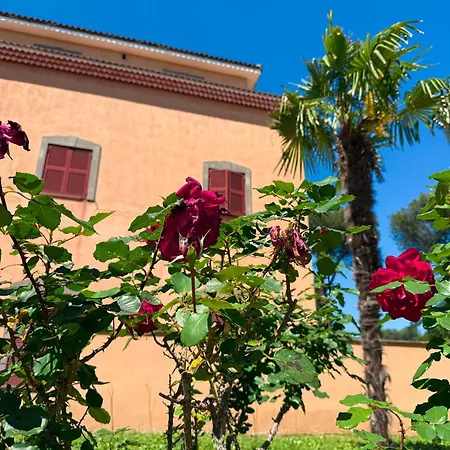 Due Leoni - Casa Per Turismo Cattolico ローマ