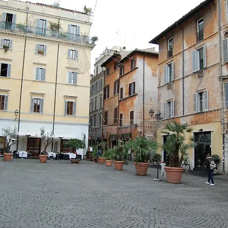 Navona Family *