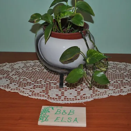 Apartment Elsa *