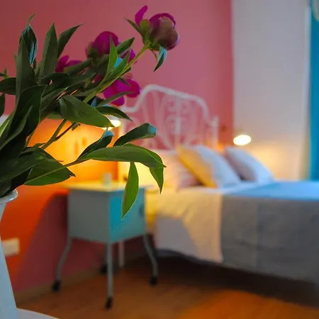 Tuttotondo 5*