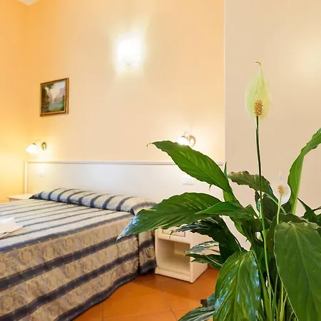Bed & Breakfast Vatican Town Rome