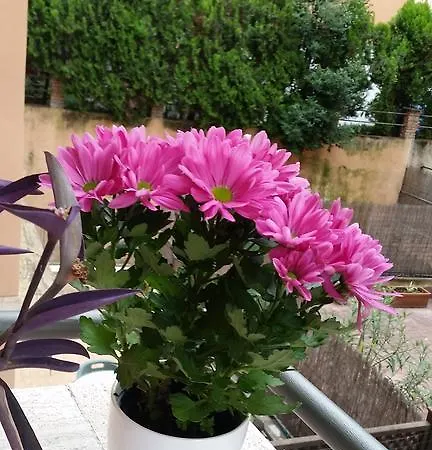 Apartment Holiday Home Roma *