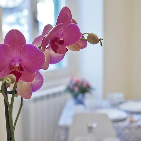 Bed & Breakfast Gloria'S House In Rome 2*