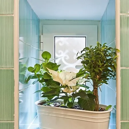 Bed & Breakfast Gloria'S House In Rome 2*