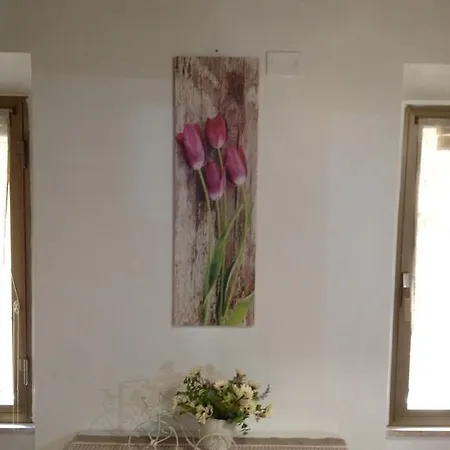 House&colosseum Apartment Rome