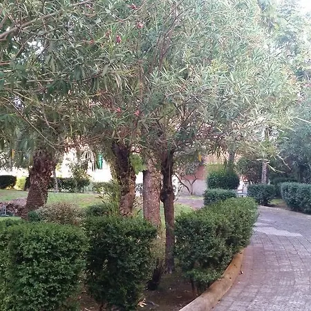 Vecchia
