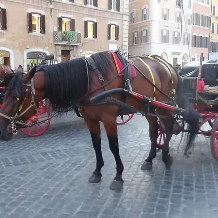 Bed & Breakfast Adduci's House Rome