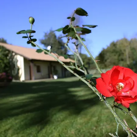 Guest house Tiberina 381 Rome