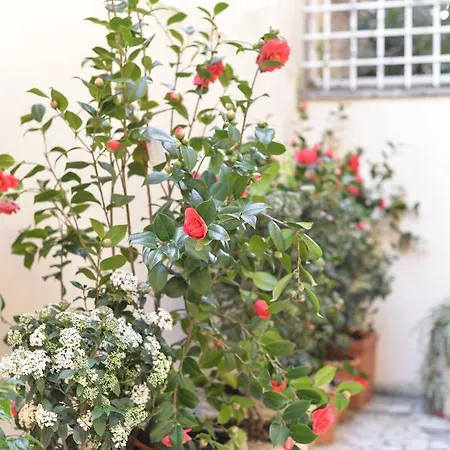 Apartment Luxury Parioli