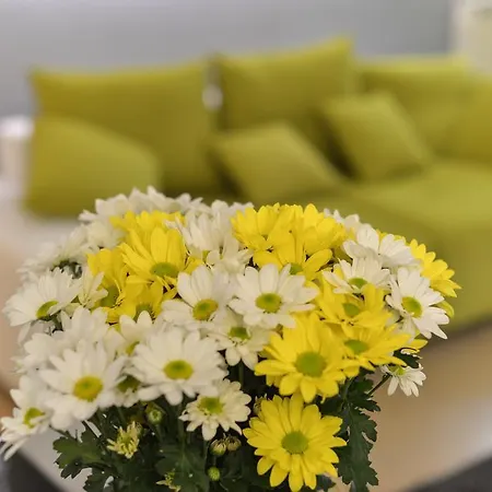 Apartment Luxury Parioli
